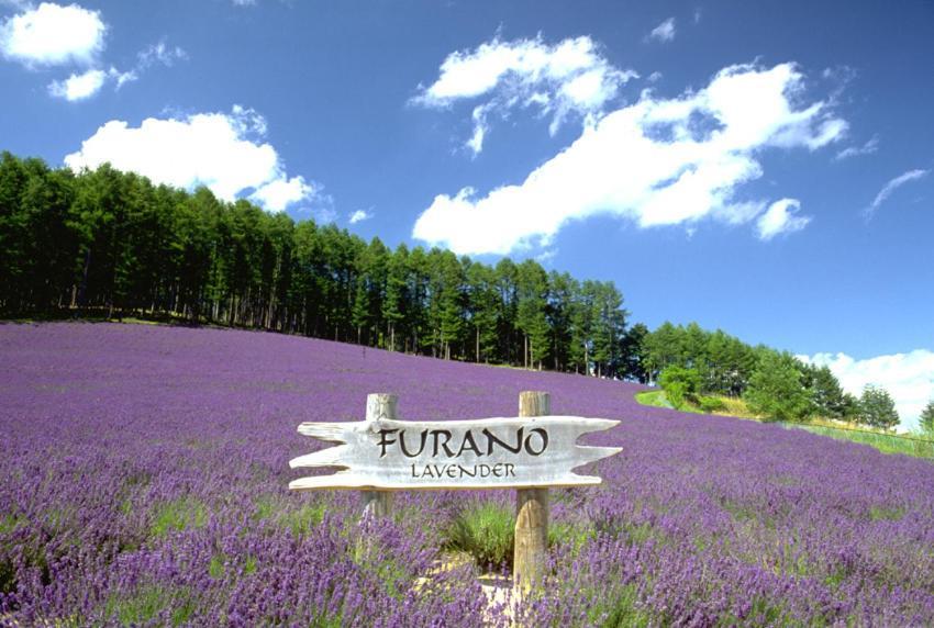 Resort Inn North Country Furano Exterior photo